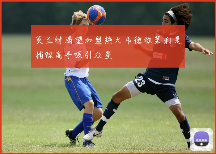 莫兰特渴望加盟热火韦德称莱利是捕鲸高手吸引众星