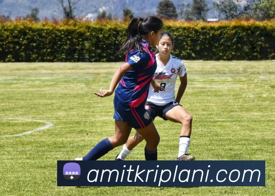 米兰体育服务体系
