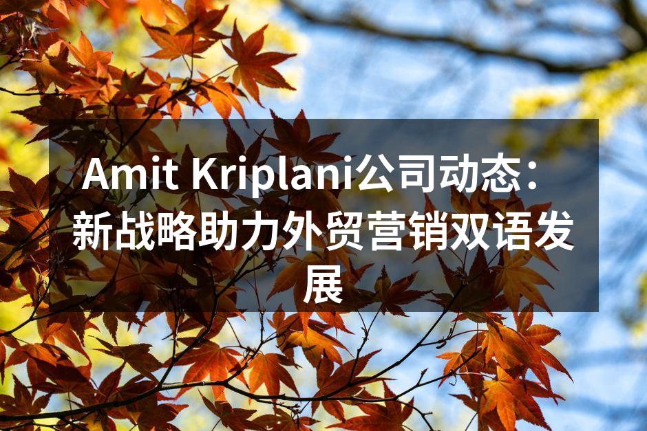 Amit Kriplani公司动态：新战略助力外贸营销双语发