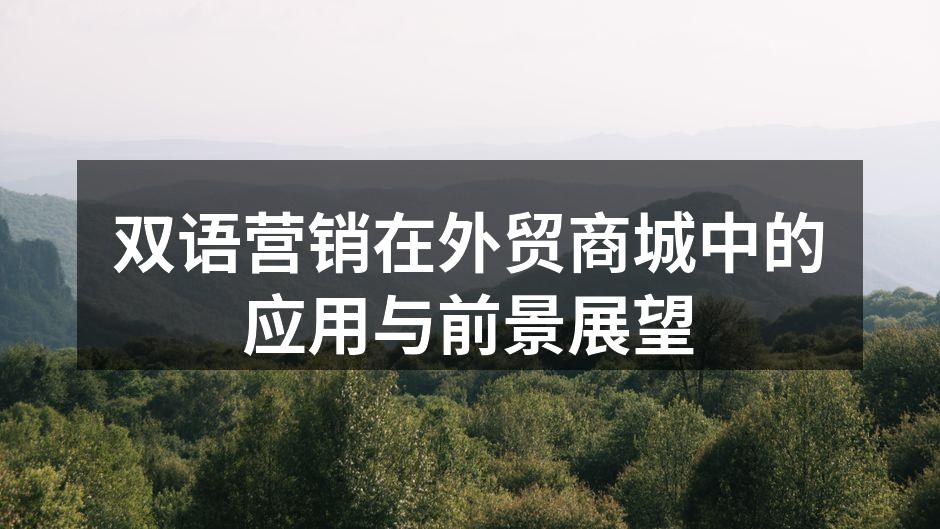 双语营销在外贸商城中的应用与前景展望