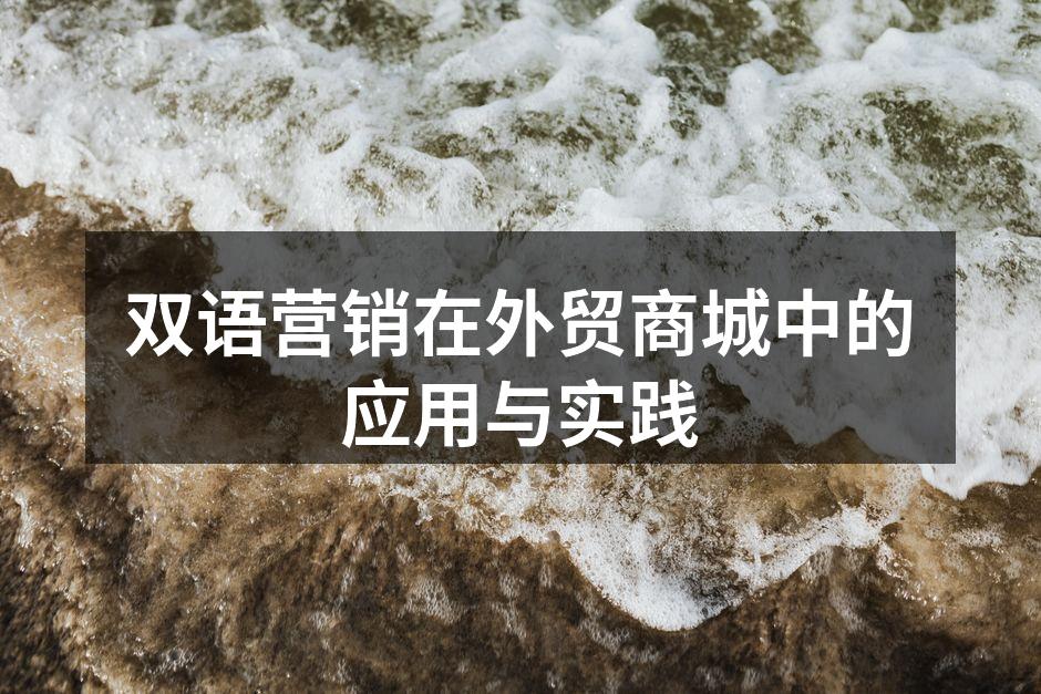 双语营销在外贸商城中的应用与实践