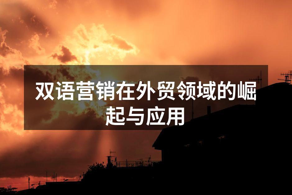 双语营销在外贸领域的崛起与应用