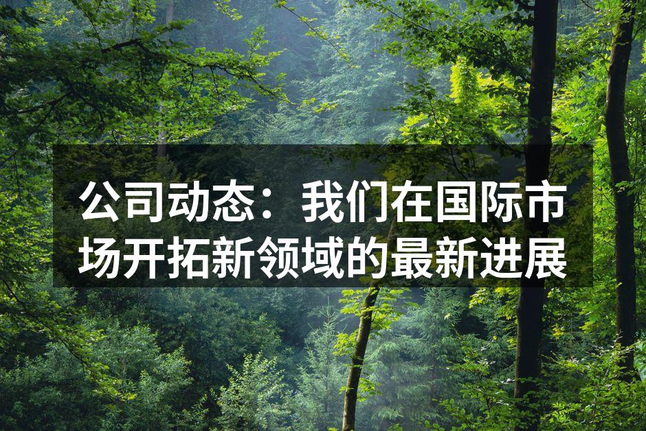 公司动态：我们在国际市场开拓新领域的最新进展