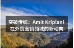 突破传统：Amit Kriplani 在